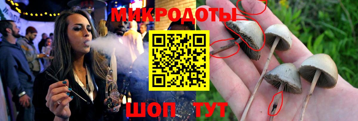 Галлюциногенные грибы прущие грибы Углич